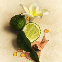 All Over Deo - Clean Mood